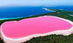 各地的粉红湖泊盘点（难以置信的景观震惊了我们）