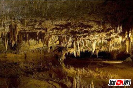 竟然发现了一千多年前的神秘洞穴；发现两具亿万年前木乃伊(3)