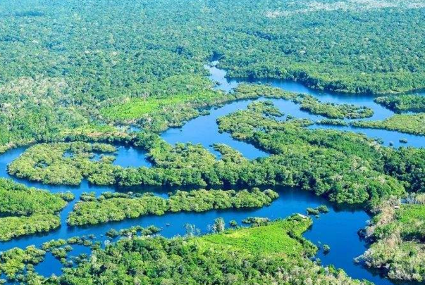亚马孙热带雨林被称为什么，地球之肺和绿色心脏(4)