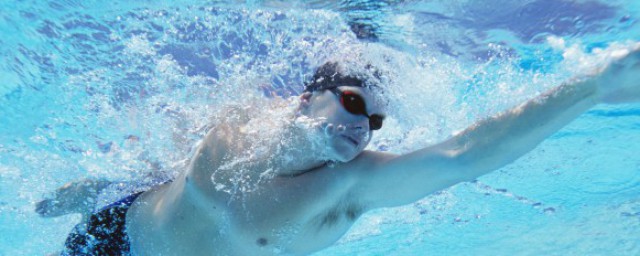 跳水运动员为何出水后立刻去淋浴/跳水运动员出水后立刻去淋浴的原因