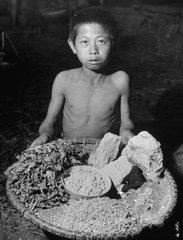 1960年代大饥荒真实历史(3)